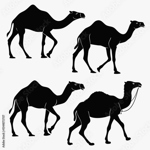 Camel Silhouette Vector Sheet - Accurate Proportions Minimalist Black on White