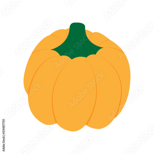 Pumpkin Autumn Seasonal Vegetable fruit Halloween and Thanksgiving main symbol Minimalist design