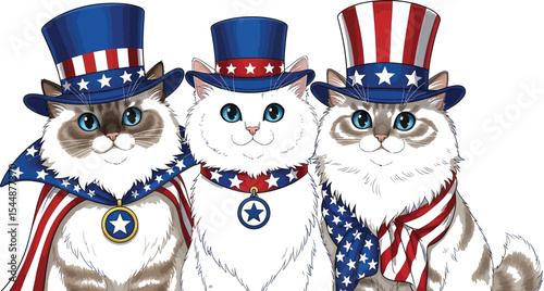Three cats wearing patriotic hats and scarves against white background