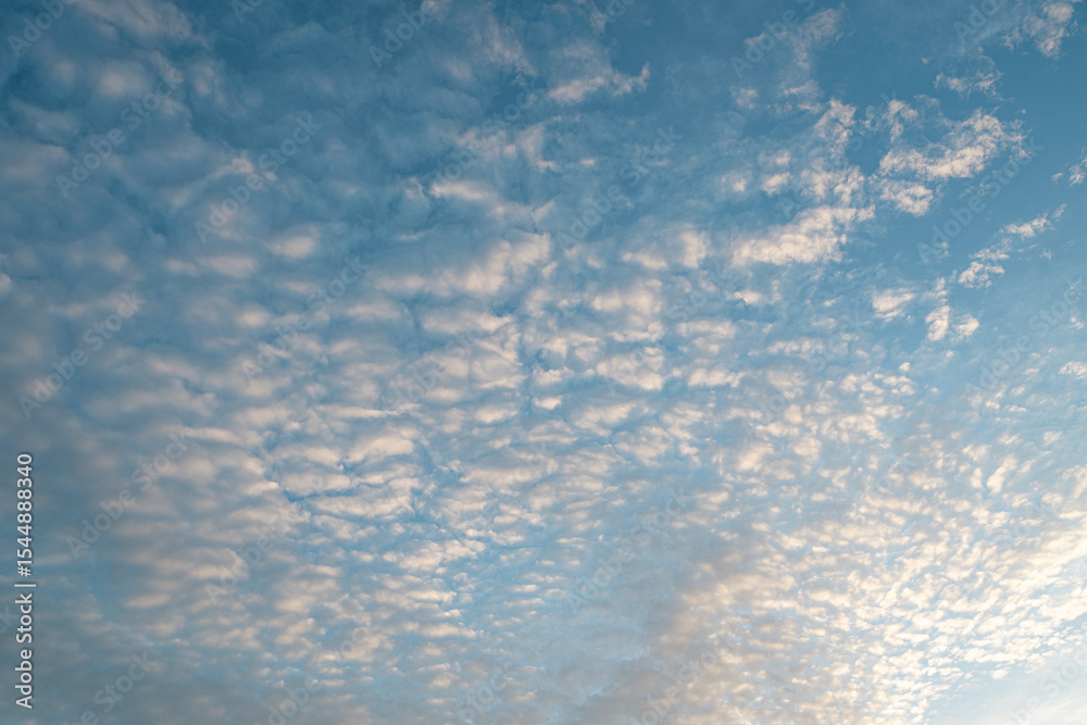 Obraz premium 夕方の空