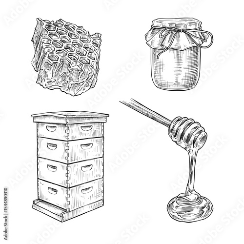 honey vector line art hand drawn illustration set collection