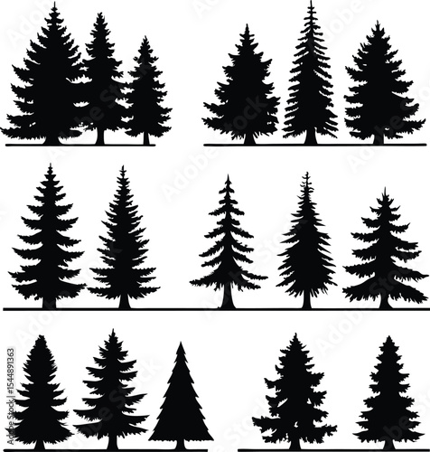 Silhouette of Evergreen Trees Set on White Background,Pine fir tree tall tree isolated premium vector image, black and white tree silhouettes,coniferous trees, pine trees,fir trees silhouettes set,Ai