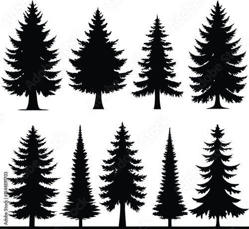 Silhouette of Evergreen Trees Set on White Background,Pine fir tree tall tree isolated premium vector image, black and white tree silhouettes,coniferous trees, pine trees,fir trees silhouettes set,Ai