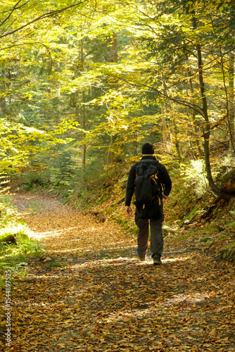 Walking in the woods in Autumn