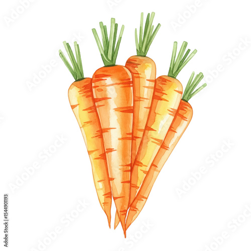 Carrots Isolated on Transparent PNG Background - Watercolour Art