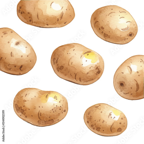 Potatoes Isolated on Transparent PNG Background - Watercolour Art