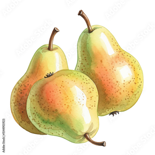 Pears Isolated on Transparent PNG Background - Watercolour Art