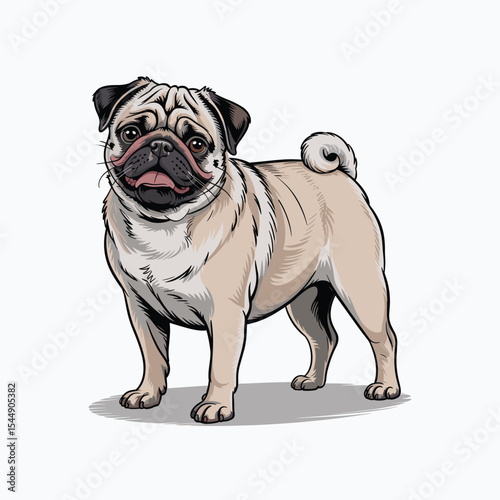 adorable standing pug dog vector illustration