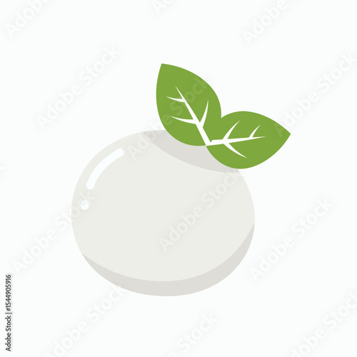 A round white ball of mozzarella with two green basil leaves on top