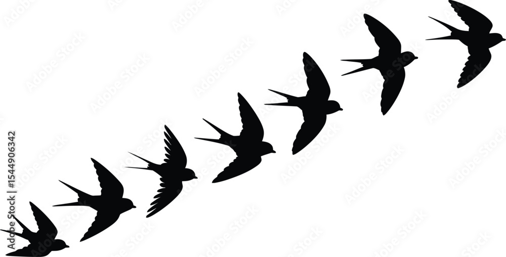 Fototapeta premium Seven Black Swallows in Flight Curved Pattern Silhouette