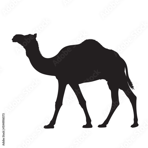 Silhouette of a majestic one humped camel standing gracefully against a white backdrop