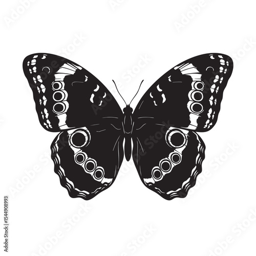 Striking monochromatic vector illustration of a moth butterfly with eyecatching wing patterns