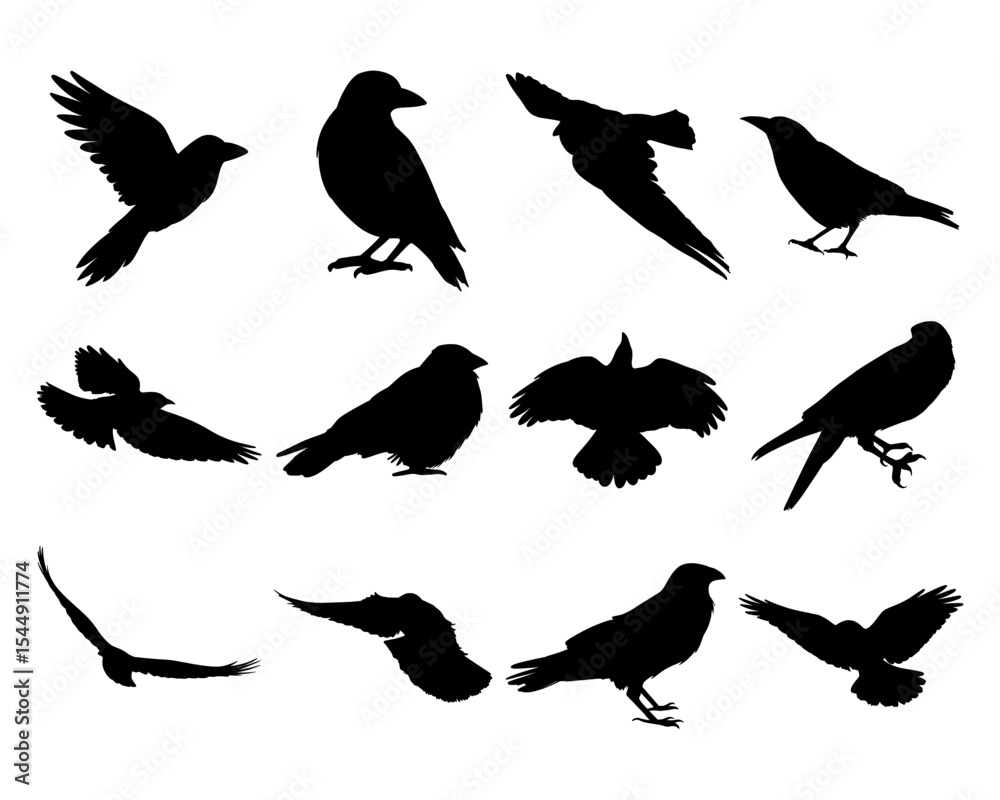 Fototapeta premium 12 flying crow and raven silhouettes with wide wing spans and dynamic poses. Ideal for horror, fantasy, and nature-inspired vector designs.