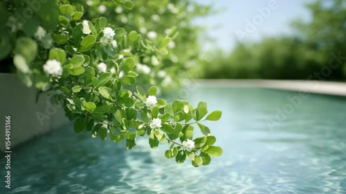 crystal clear pool surrounded by lush greenery reflecting serene blue sky