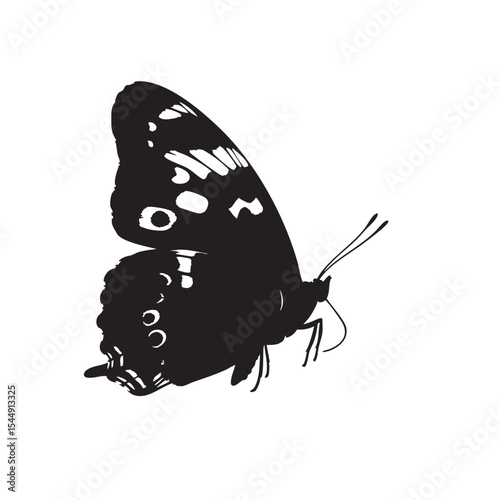Elegant black butterfly silhouette on white background exhibiting delicate wing details