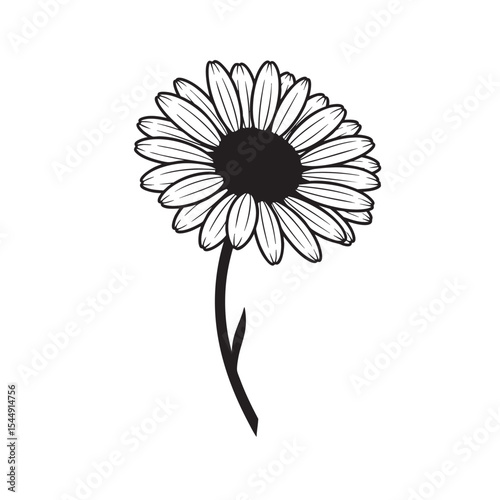 Black and white daisy flower illustration with stem and detailed petals