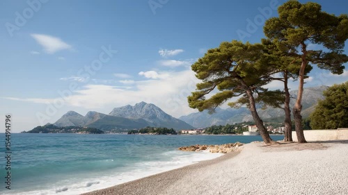 serene summer landscape featuring pine trees along shores of montenegro with crystalclear waters and bright blue