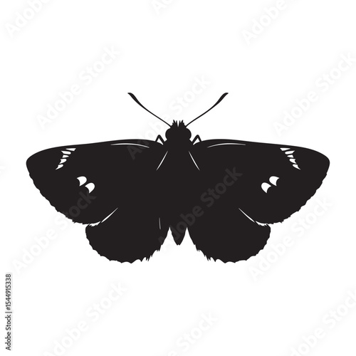 Silhouette of a Large Brown Butterfly with Patterned Wings Isolated on White