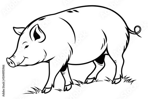 Domestic Pig Illustration on Clean White Background