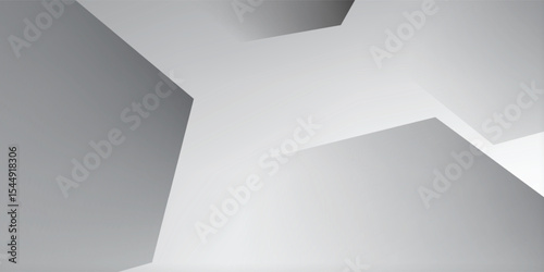 Abstract grey hexagonal white background. with elegant artistic style