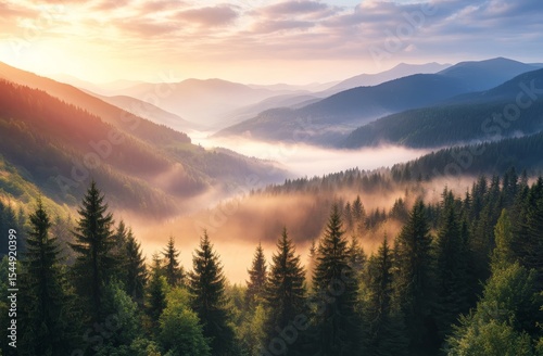 Fototapeta Naklejka Na Ścianę i Meble -  A misty forest landscape in Poland's mountains during morning