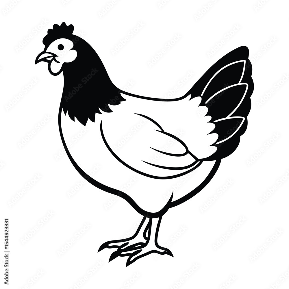 Vector illustration of a chicken Vector illustration of a chicken