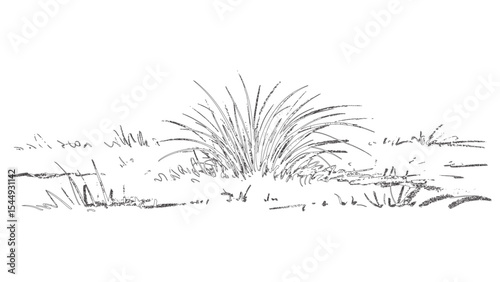 Grass bush illustration in countryside landscape sketch style