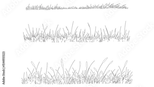 Layered grass silhouettes with tall meadow blades