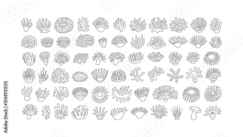 Doodle style sea coral illustrations in black and white