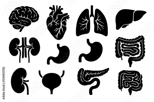 Human internal organs in clean black silhouette style featuring brain, heart, lungs, liver, kidneys, stomach, intestines, pancreas, bladder