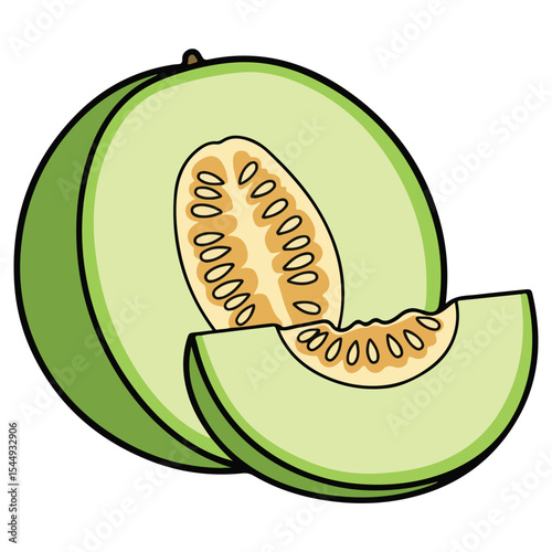 Melon vector illustration, simple design
