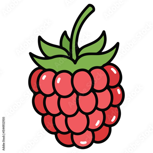 Raspberry, Wild Strawberry vector illustration, simple design