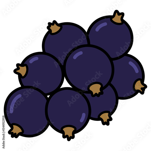 Blackcurrant vector illustration, simple design