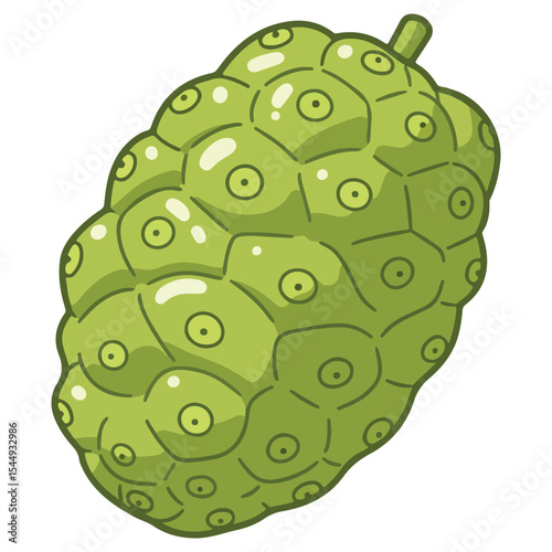 Noni vector illustration, simple design