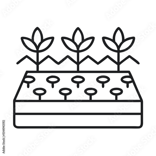 Rooftop Garden With Veggies and Sustainable Urban Farming Tips