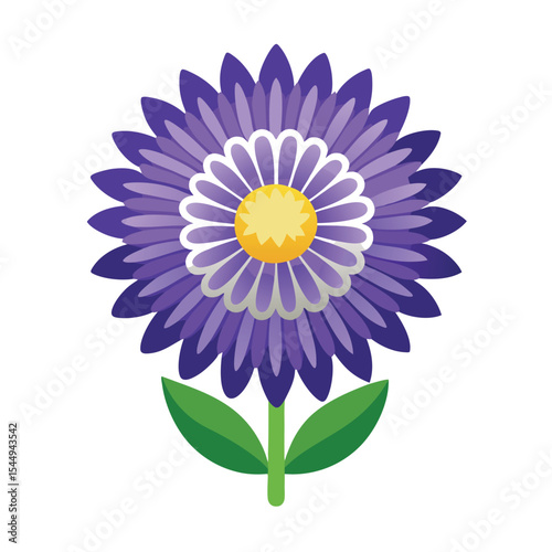 Aster novi belgii flower