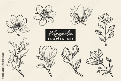 Set of magnolia flower line hand drawn clipart template.