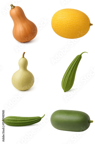 Gourd and melon varieties isolated on transparent background, including butternut squash, canary melon, calabash, ridge gourd, sponge gourd, and winter melon for botanical visuals, agriculture design,