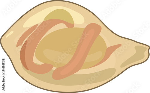 Juvenile earthworm inside a cocoon isolated on white background. Scheme for biology lesson