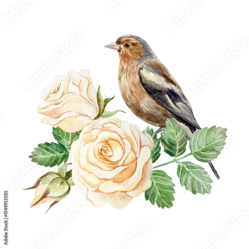 Roses watercolor. Bird sitting on a branch. Beautiful pastel peach flowers and brown finch. Hand drawn vector illustration. For vintage greeting cards, wedding invitations, banners, labels, posters.