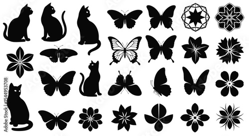 Nature's Dance Cats Flowers Butterflies and Geometry An Artistic Collection of Wildlife Beauty