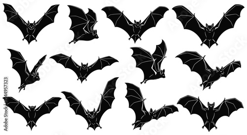 An Assemblage of Eerie Bats Flying Against a Blank Canvas Is All That Is Needed