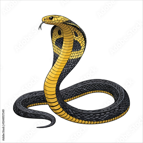 King cobra vector The Serpent King
