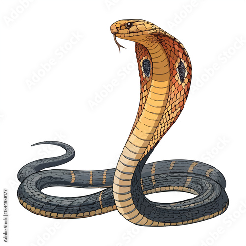 King cobra vector The Serpent King