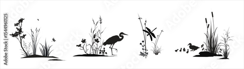 Thickets of reed, cane, cattail, sedge grass, bushes, other marsh plants with dragonflies, bird heron, ducks and ducklings. Swamp flora and fauna monochrome isolated silhouette landscape drawings set.
