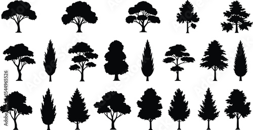 Tree silhouette collection, botanical shape illustration, diverse foliage vector, nature landscape element, black forest graphic, seasonal plant design, natural environment decor, outdoor art