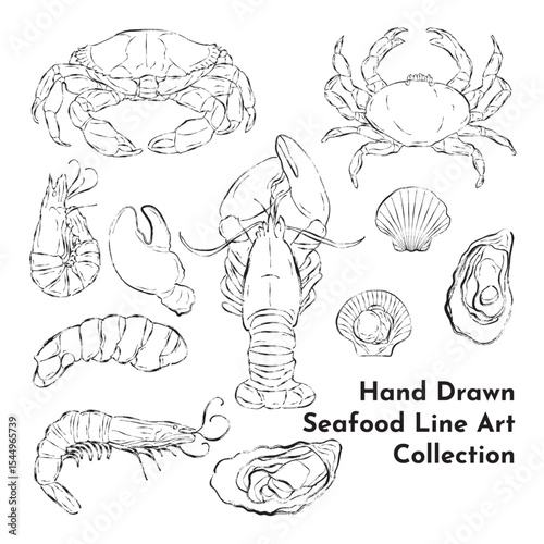 Hand Drawn Seafood Line Art Collection