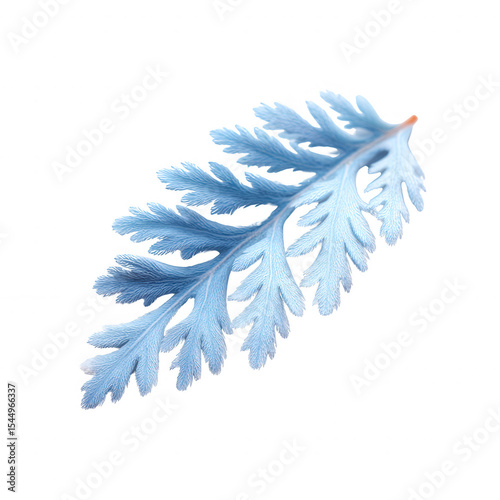 A delicate blue leaf with intricate details against a white isolated background, showcasing the beauty of nature in a minimalist style.