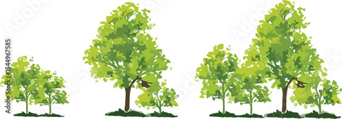 Set of Three Green Tree Illustrations in Varying Sizes, Representing Growth, Nature, and Landscape Elements for Design Projects, Vector Art