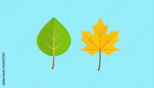 Two illustrated leaves, one green and one yellow, on a blue background.